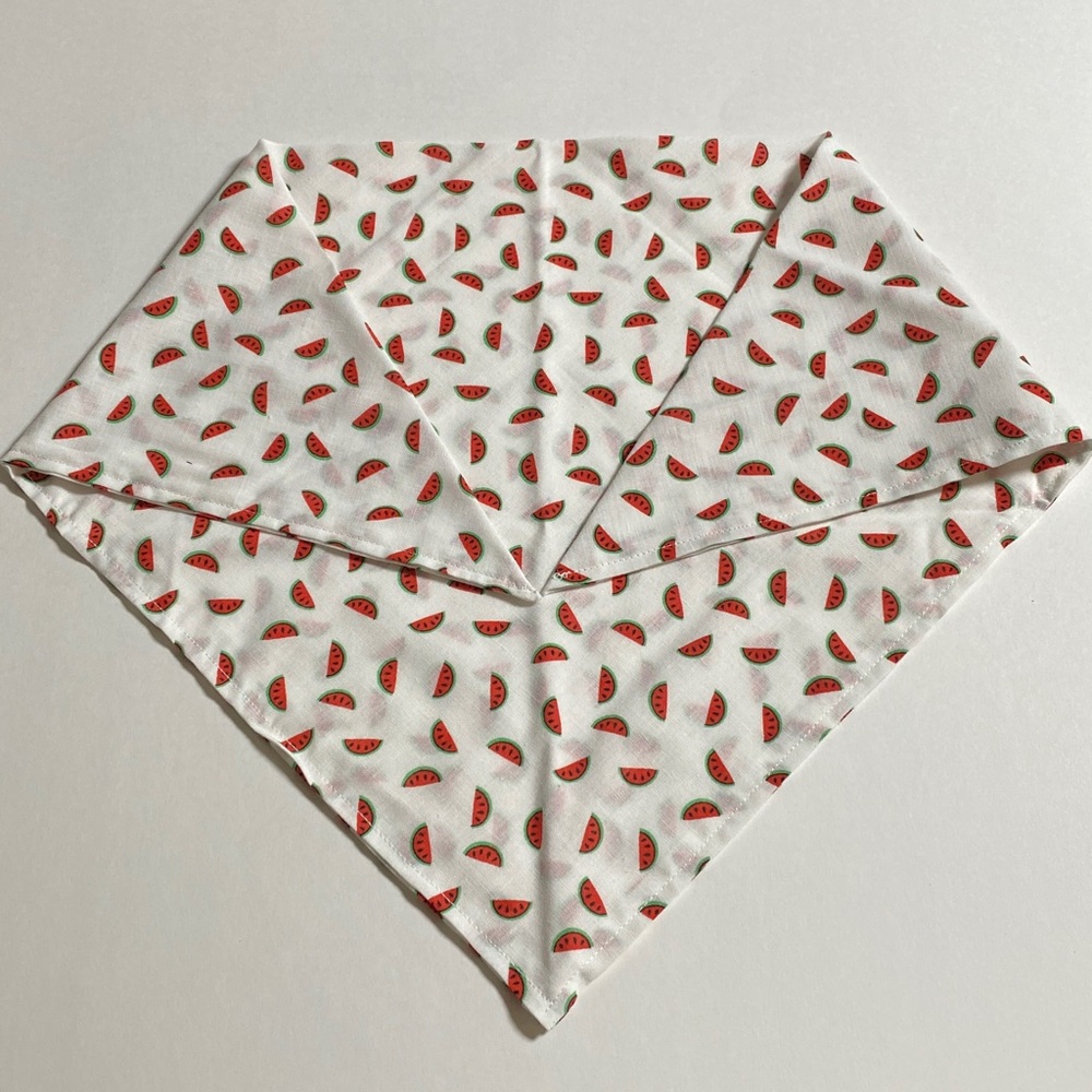 Reggie in Bowties | Red Watermelon Pet Bandana